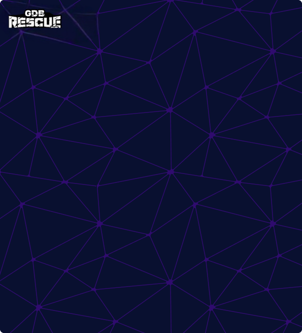 GD Rescue & Recovery